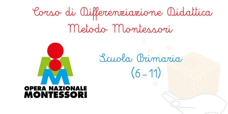 Foto del percorso «Corso di Differenziazione Didattica 6-11»