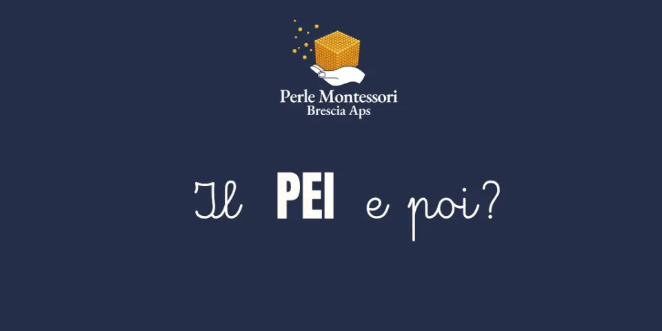 Foto del percorso «Il PEI e poi?»