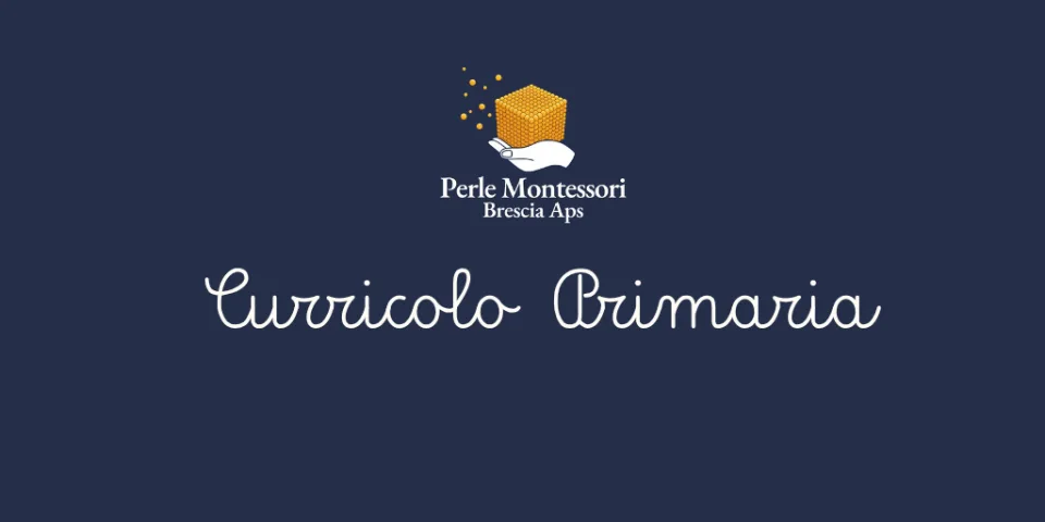 Foto del percorso «Curricolo primaria»