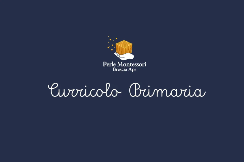 Foto del percorso «Curricolo primaria»